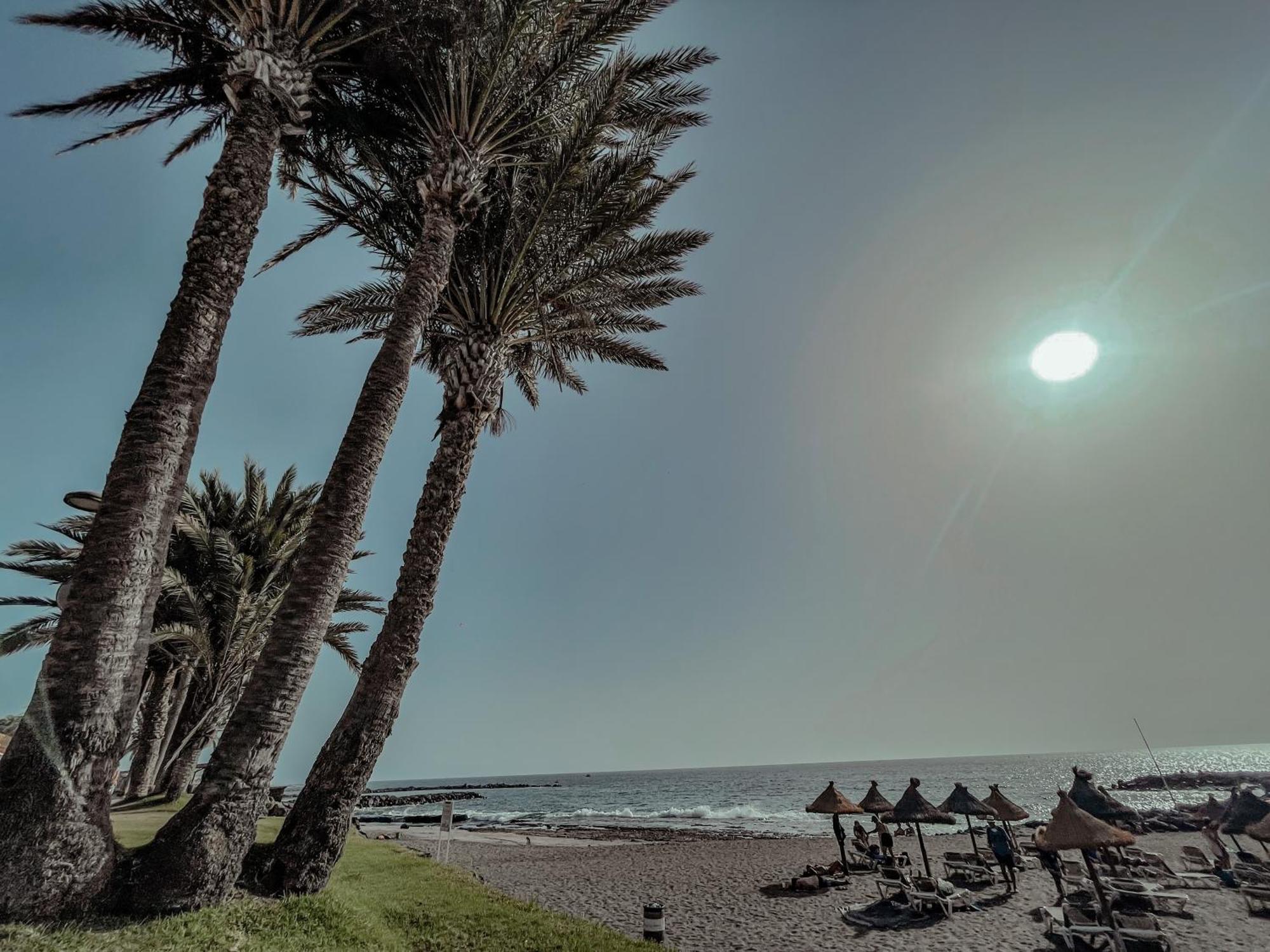 Viktoria Sur Apartment Playa de las Americas  Bagian luar foto